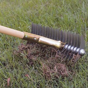 Use crabgrass rake to remove crabgrass infestations in small areas.